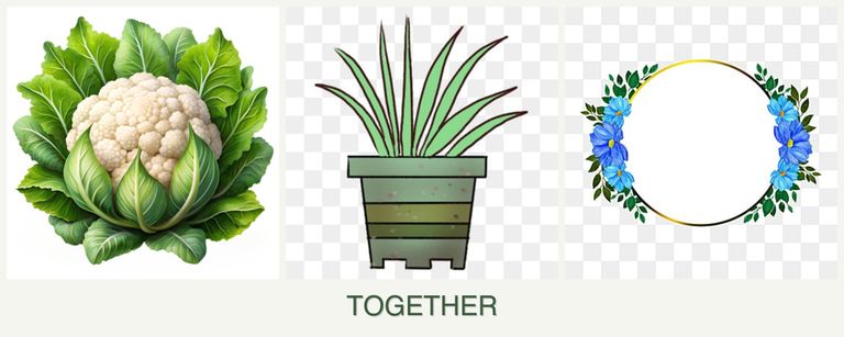 Can you plant cauliflower, lemongrass and zinnias together?