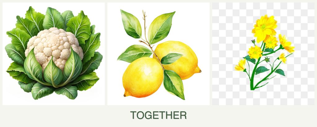 Can you plant cauliflower, lemons and calendula together?
