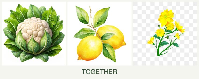 Can you plant cauliflower, lemons and calendula together?