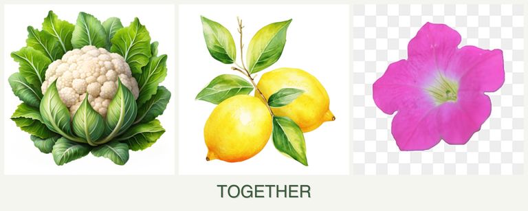 Can you plant cauliflower, lemons and petunias together?