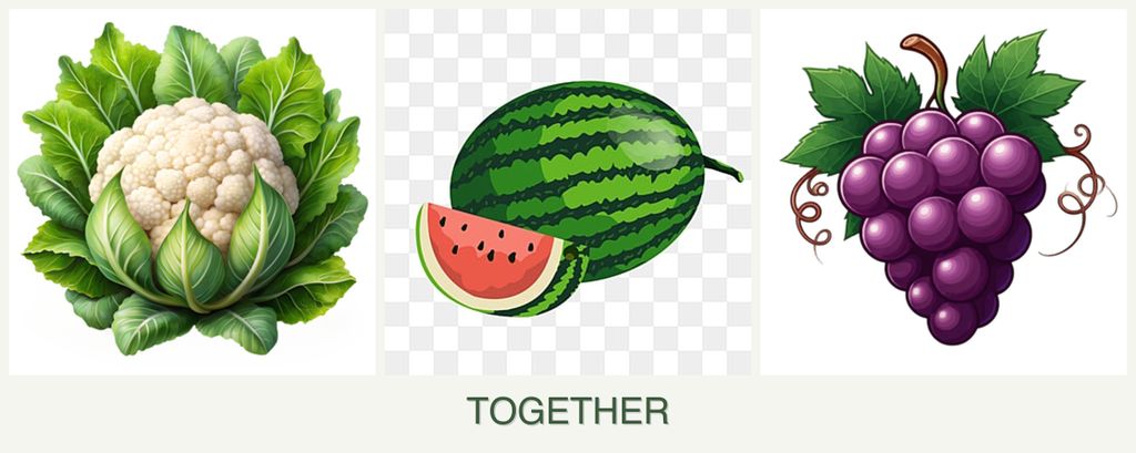 Can you plant cauliflower, melons and grapes together?