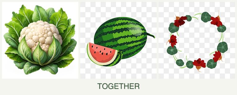 Can you plant cauliflower, melons and nasturtiums together?