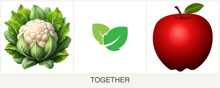 Can you plant cauliflower, mint and apples together?