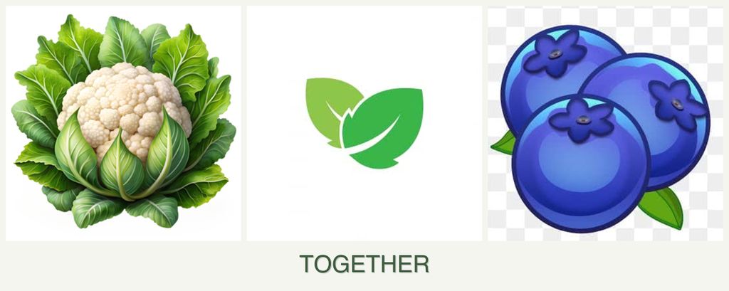 Can you plant cauliflower, mint and blueberries together?