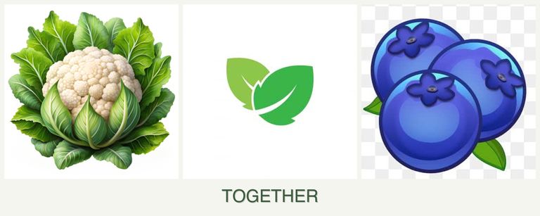 Can you plant cauliflower, mint and blueberries together?
