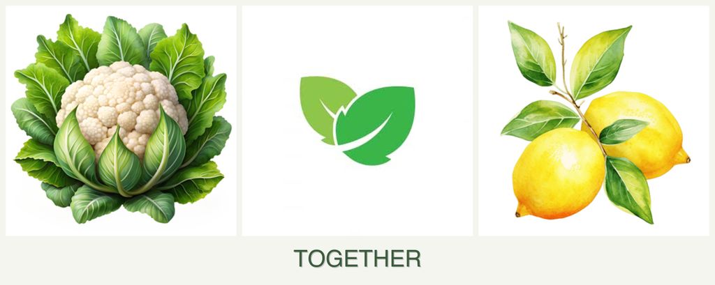 Can you plant cauliflower, mint and lemons together?