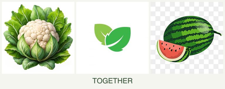Can you plant cauliflower, mint and melons together?