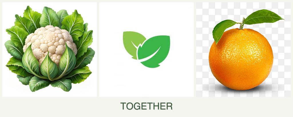 Can you plant cauliflower, mint and oranges together?