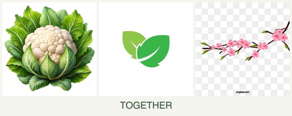 Can you plant cauliflower, mint and peaches together?