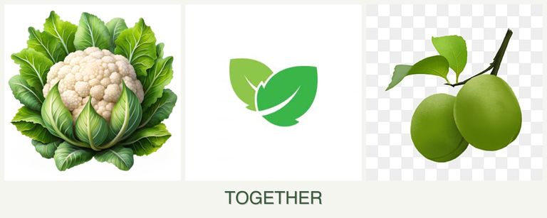 Can you plant cauliflower, mint and plums together?