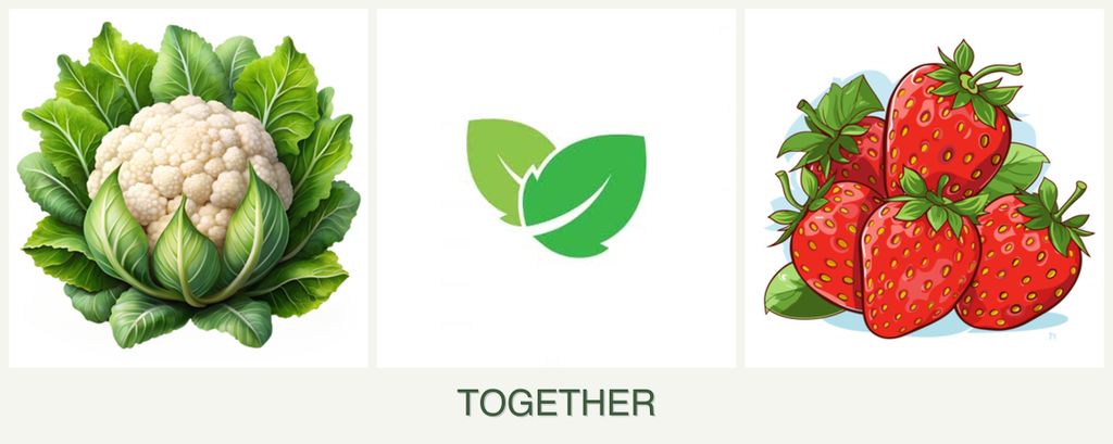 Can you plant cauliflower, mint and strawberries together?