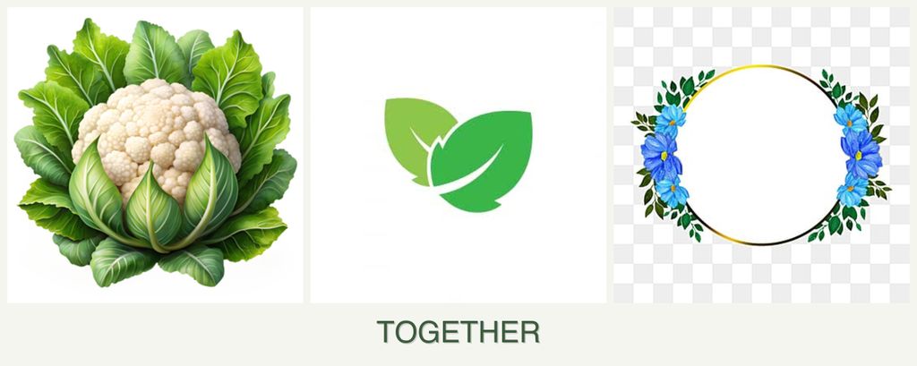 Can you plant cauliflower, mint and zinnias together?