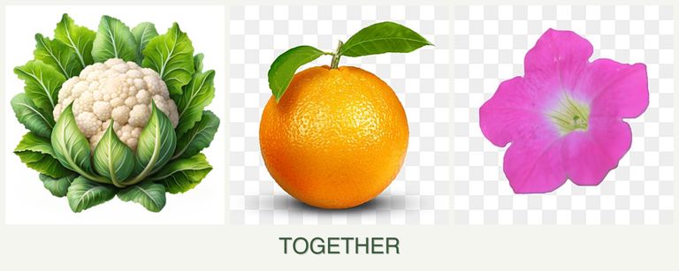 Can you plant cauliflower, oranges and petunias together?