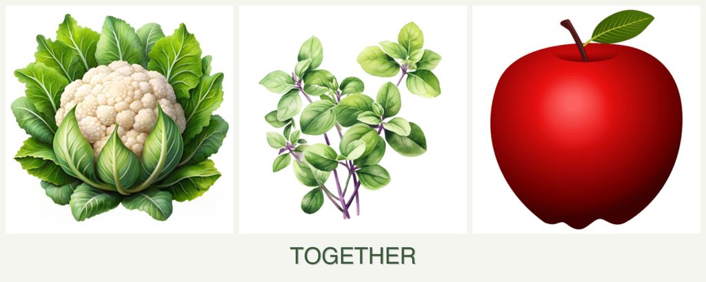 Can you plant cauliflower, oregano and apples together?