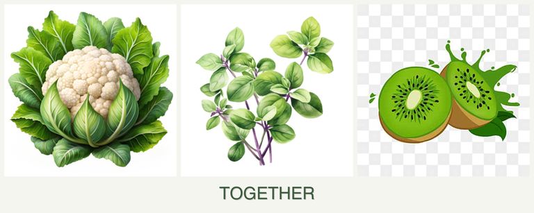Can you plant cauliflower, oregano and kiwi together?
