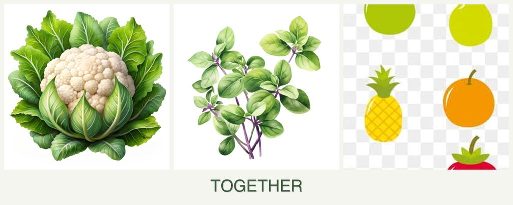 Can you plant cauliflower, oregano and pears together?