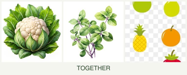 Can you plant cauliflower, oregano and pears together?