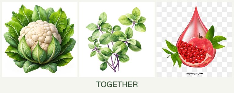 Can you plant cauliflower, oregano and pomegranates together?
