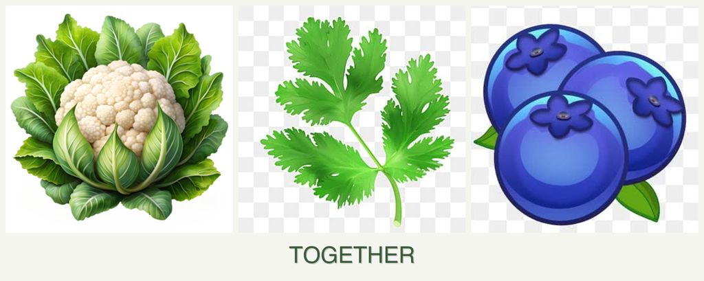 Can you plant cauliflower, parsley and blueberries together?