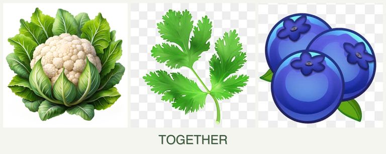 Can you plant cauliflower, parsley and blueberries together?