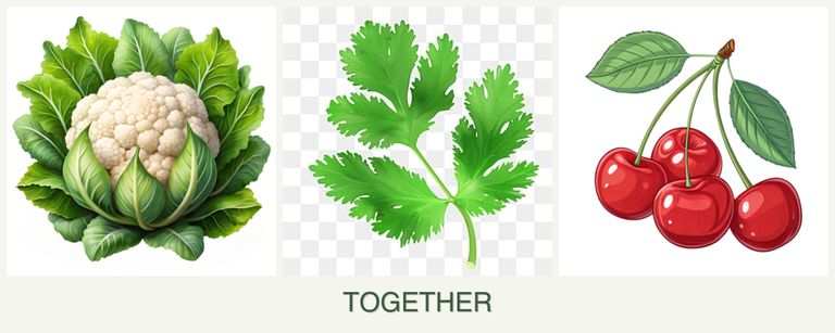 Can you plant cauliflower, parsley and cherries together?