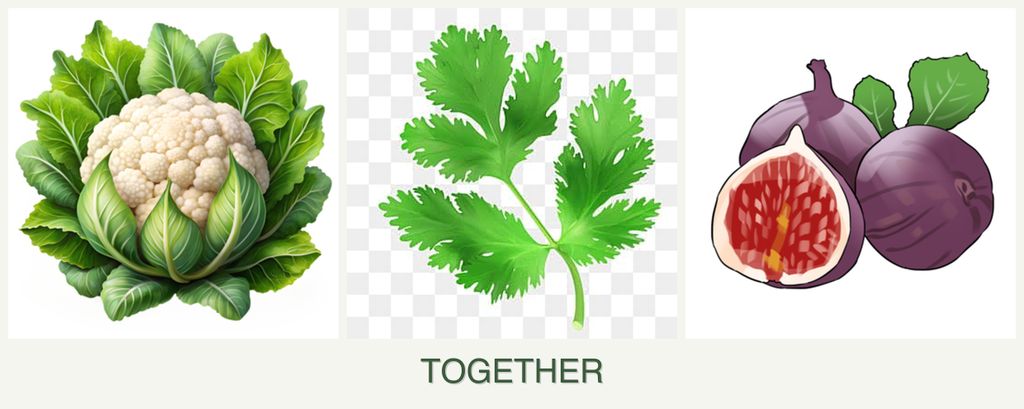 Can you plant cauliflower, parsley and figs together?