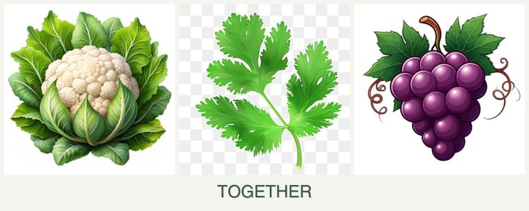 Can you plant cauliflower, parsley and grapes together?