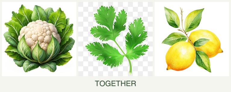 Can you plant cauliflower, parsley and lemons together?
