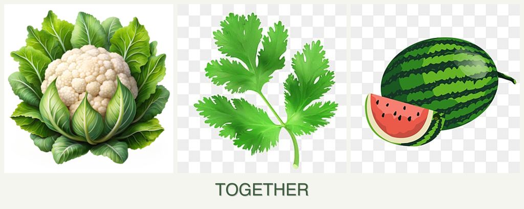 Can you plant cauliflower, parsley and melons together?