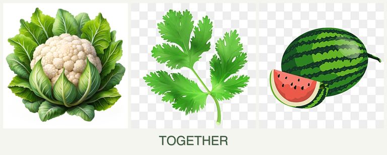 Can you plant cauliflower, parsley and melons together?