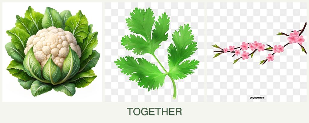 Can you plant cauliflower, parsley and peaches together?