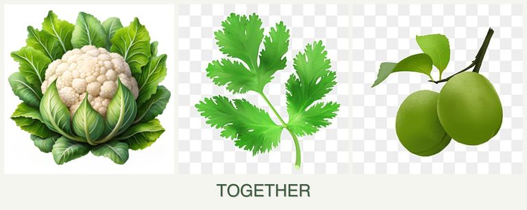 Can you plant cauliflower, parsley and plums together?