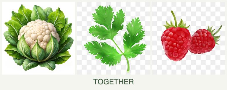 Can you plant cauliflower, parsley and raspberries together?
