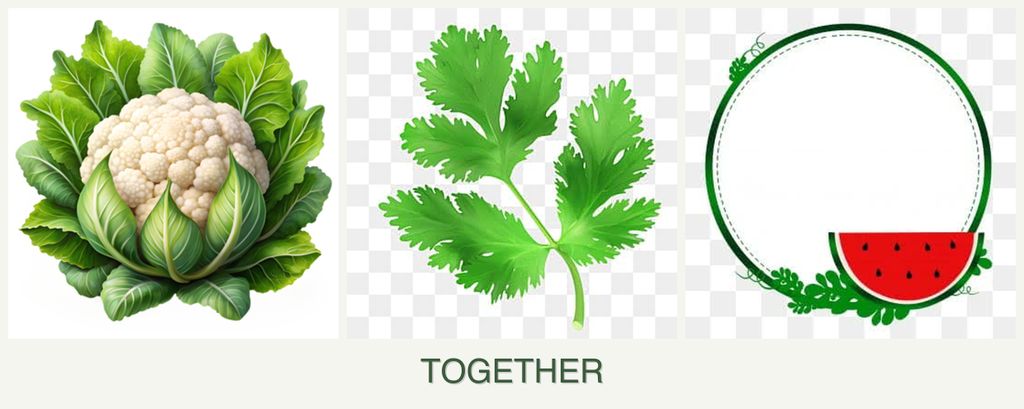 Can you plant cauliflower, parsley and watermelons together?