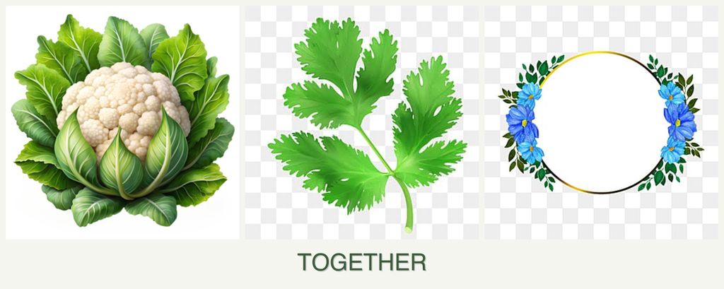 Can you plant cauliflower, parsley and zinnias together?