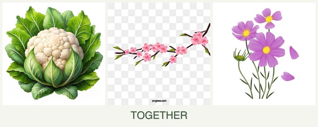 Can you plant cauliflower, peaches and cosmos together?