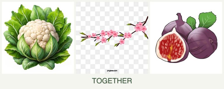 Can you plant cauliflower, peaches and figs together?
