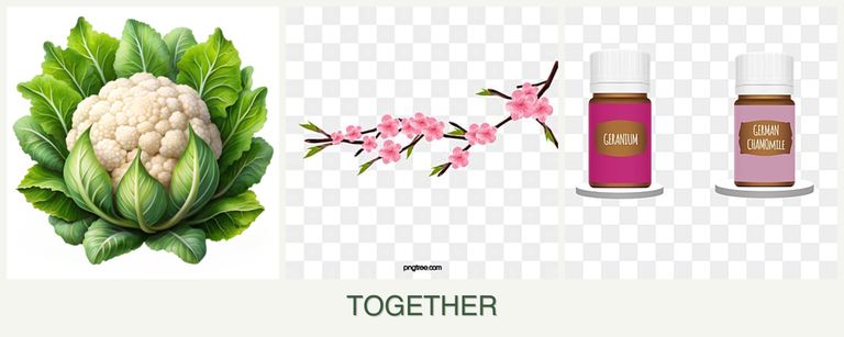 Can you plant cauliflower, peaches and geraniums together?