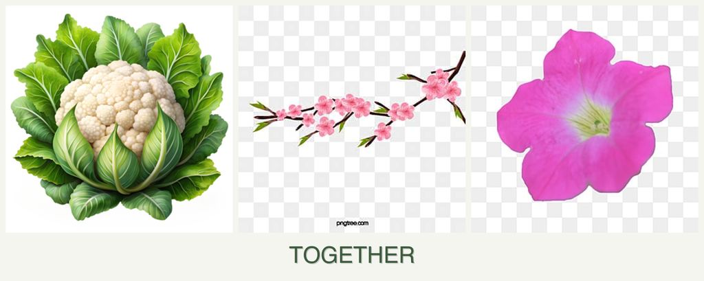 Can you plant cauliflower, peaches and petunias together?