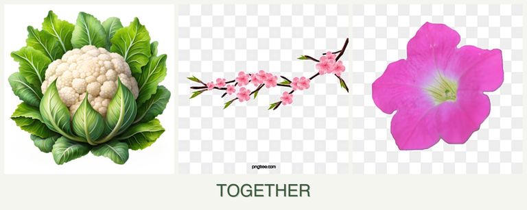 Can you plant cauliflower, peaches and petunias together?