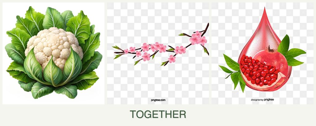 Can you plant cauliflower, peaches and pomegranates together?