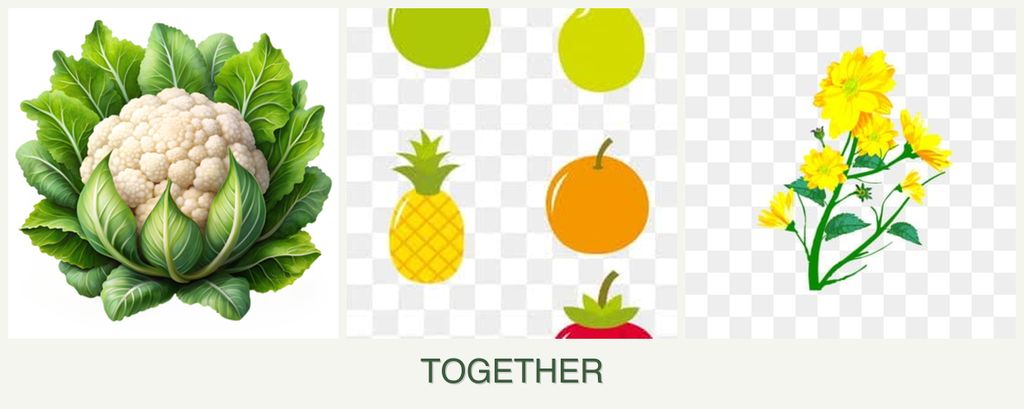 Can you plant cauliflower, pears and calendula together?