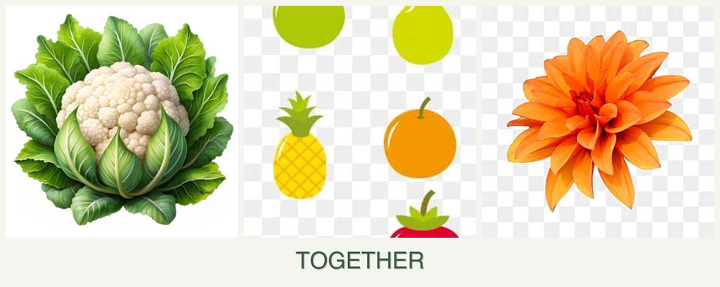 Can you plant cauliflower, pears and dahlias together?