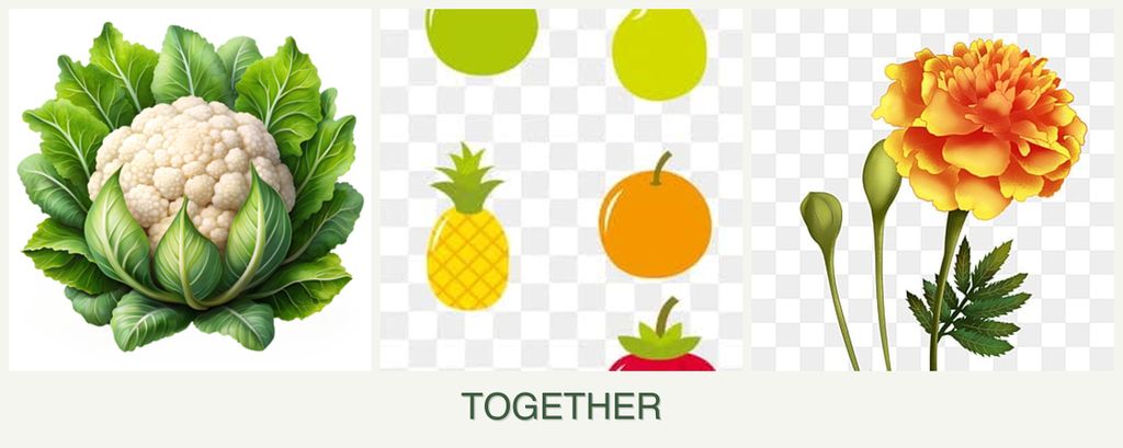 Can you plant cauliflower, pears and marigolds together?