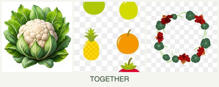 Can you plant cauliflower, pears and nasturtiums together?