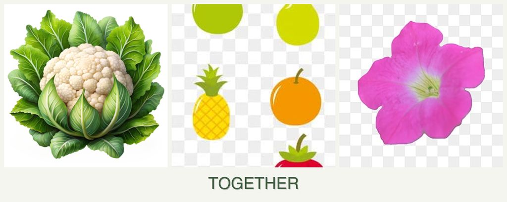 Can you plant cauliflower, pears and petunias together?