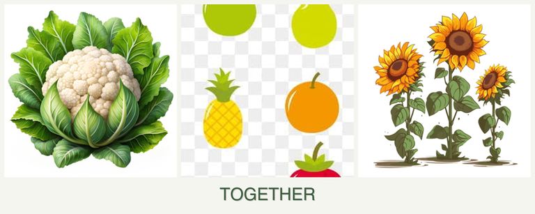 Can you plant cauliflower, pears and sunflowers together?