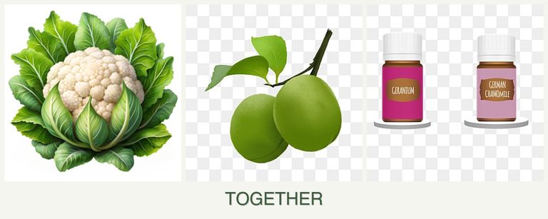 Can you plant cauliflower, plums and geraniums together?