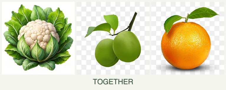 Can you plant cauliflower, plums and oranges together?