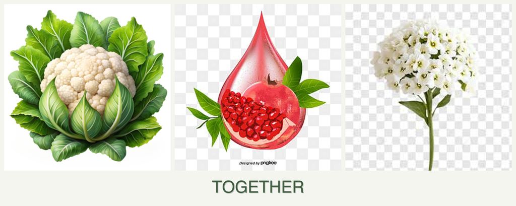 Can you plant cauliflower, pomegranates and alyssum together?
